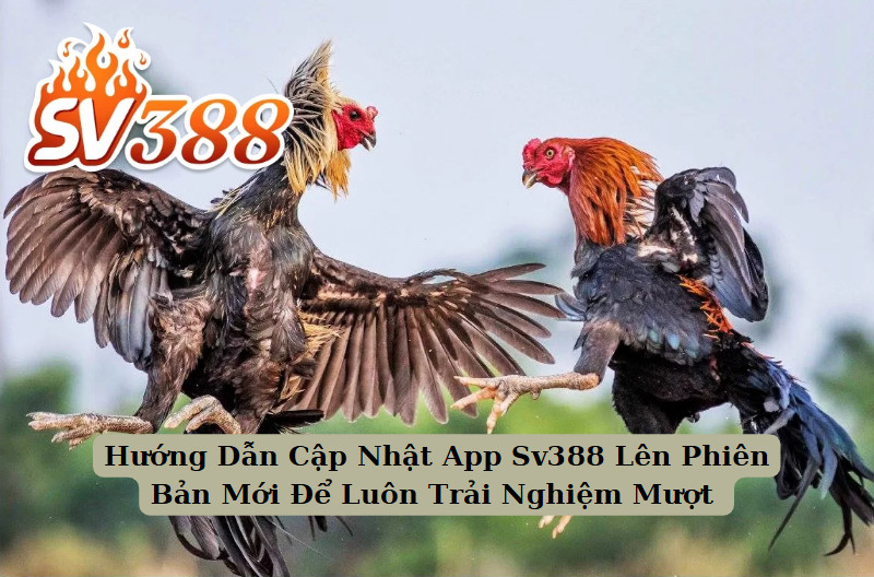 Hướng Dẫn Cập Nhật App Sv388 Lên Phiên Bản Mới Để Luôn Trải Nghiệm Mượt
