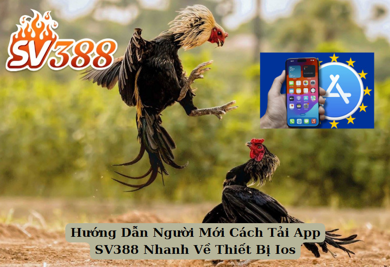 Hướng Dẫn Người Mới Cách Tải App SV388 Nhanh Về Thiết Bị Ios