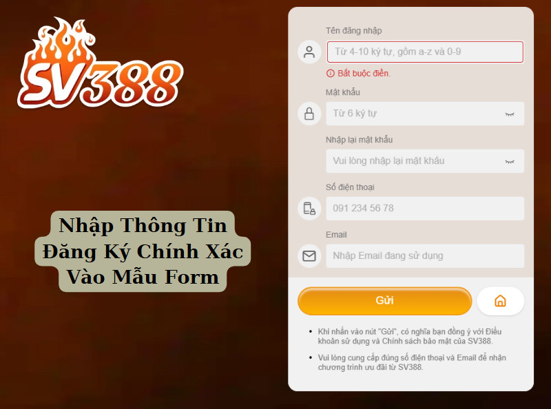 Nhập Thông Tin Đăng Ký Chính Xác Vào Mẫu Form
